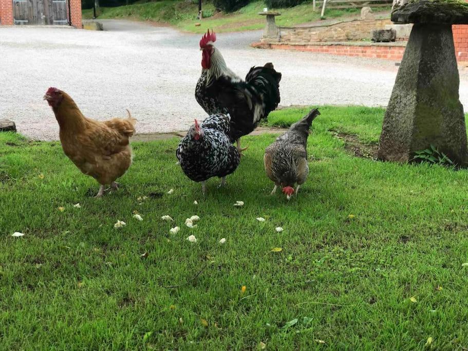 Stunning Rural Apartment, Walking Distance To Three Choirs Vineyard & Restaurant, Gloucestershire Newent Dış mekan fotoğraf